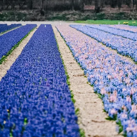 Marinapark Residentie Bloemendaal *